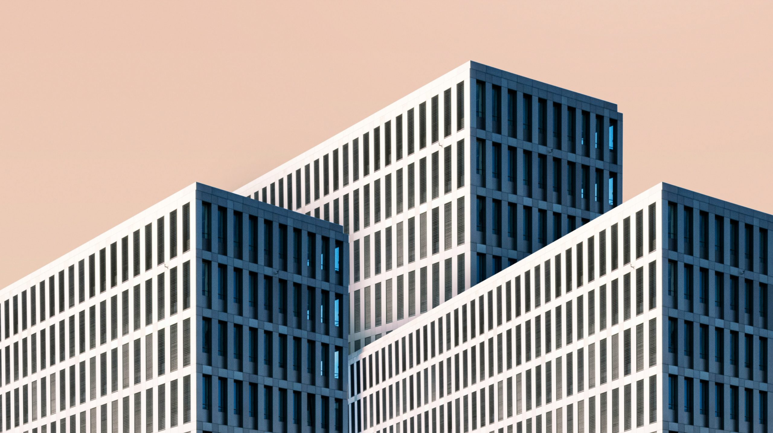 pexels-jimbear-998499 1