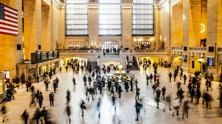 pexels-jimbear-998499-1-2