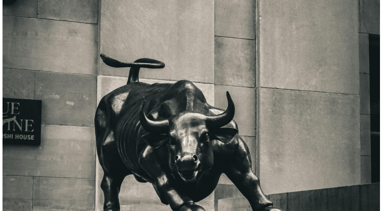 Project outline section